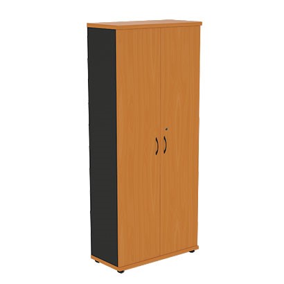 Шкаф для одежды Моно-Люкс R5S05 в Архангельске - изображение