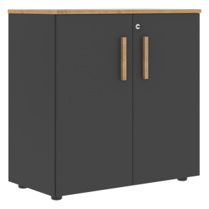 Шкаф широкий низкий с малыми дверцами FORTA Графит-Дуб Гамильтон  FLC 80.1(Z) (798х404х801) в Архангельске - предосмотр