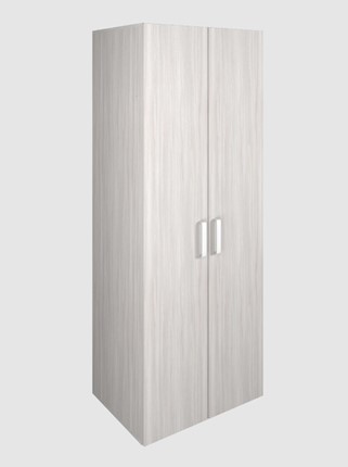 Шкаф для офиса для одежды 2-дверный арт.119.1, ЛДСП Ясень шимо светлый в Архангельске - изображение