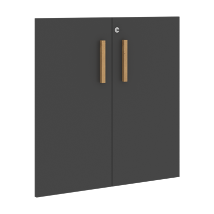 Двери для шкафов низкие с замком FORTA Черный ГрафитFLD 40-2(Z) (794х18х766) в Архангельске - изображение