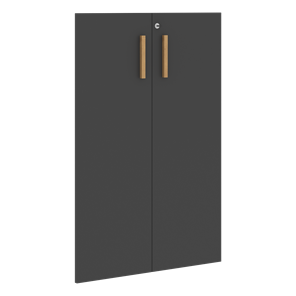 Двери для шкафов средние с замком FORTA Черный Графит FMD 40-2(Z) (794х18х1164) в Архангельске